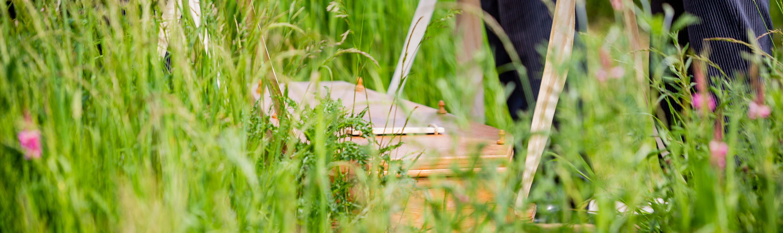Lowering a coffin- A Natural Burial taking place
