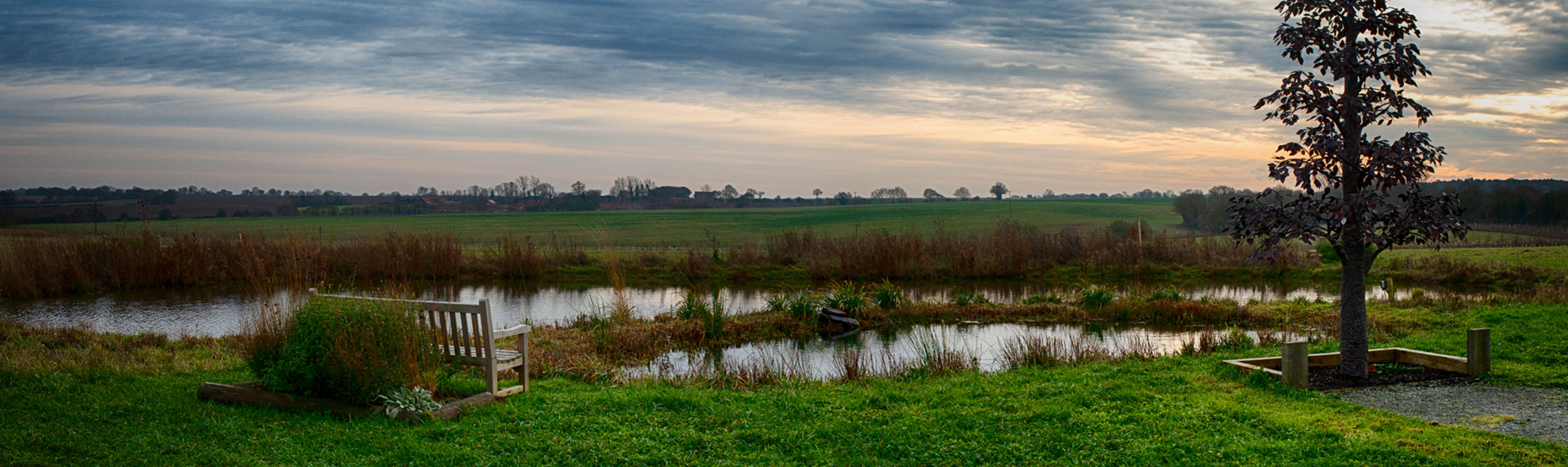 Water's View-Pond-Grounds