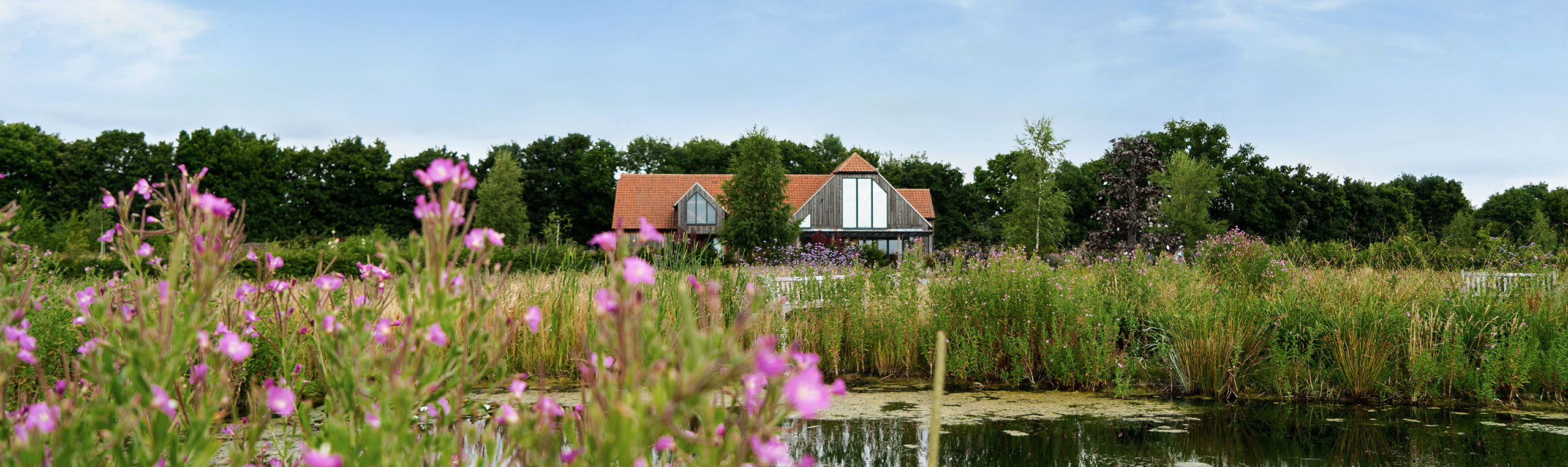 Old Park Meadow- Natural Burial Ground