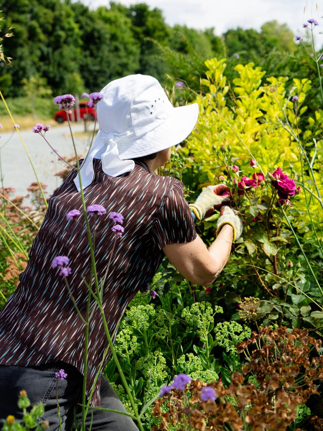 Women gardening