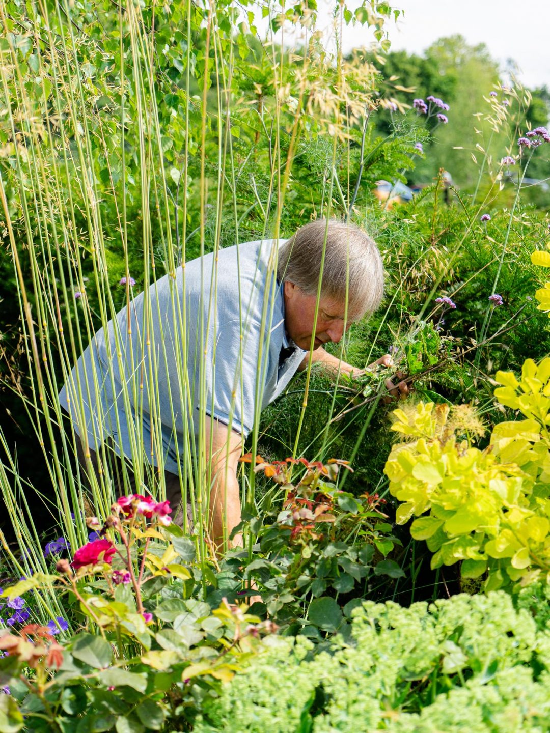 Man gardening